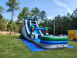 20ft Palm Splash