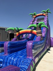 9577520E 17D8 4E2F 8B26 672466395974 1618252165 22’ Purple Paradise