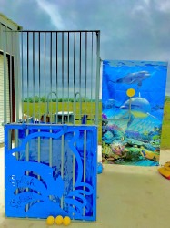 A8D75C70 5665 422A AC7C FC385ED1571B 1620857719 Dunk Tank