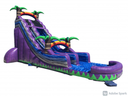 22’ Purple Paradise